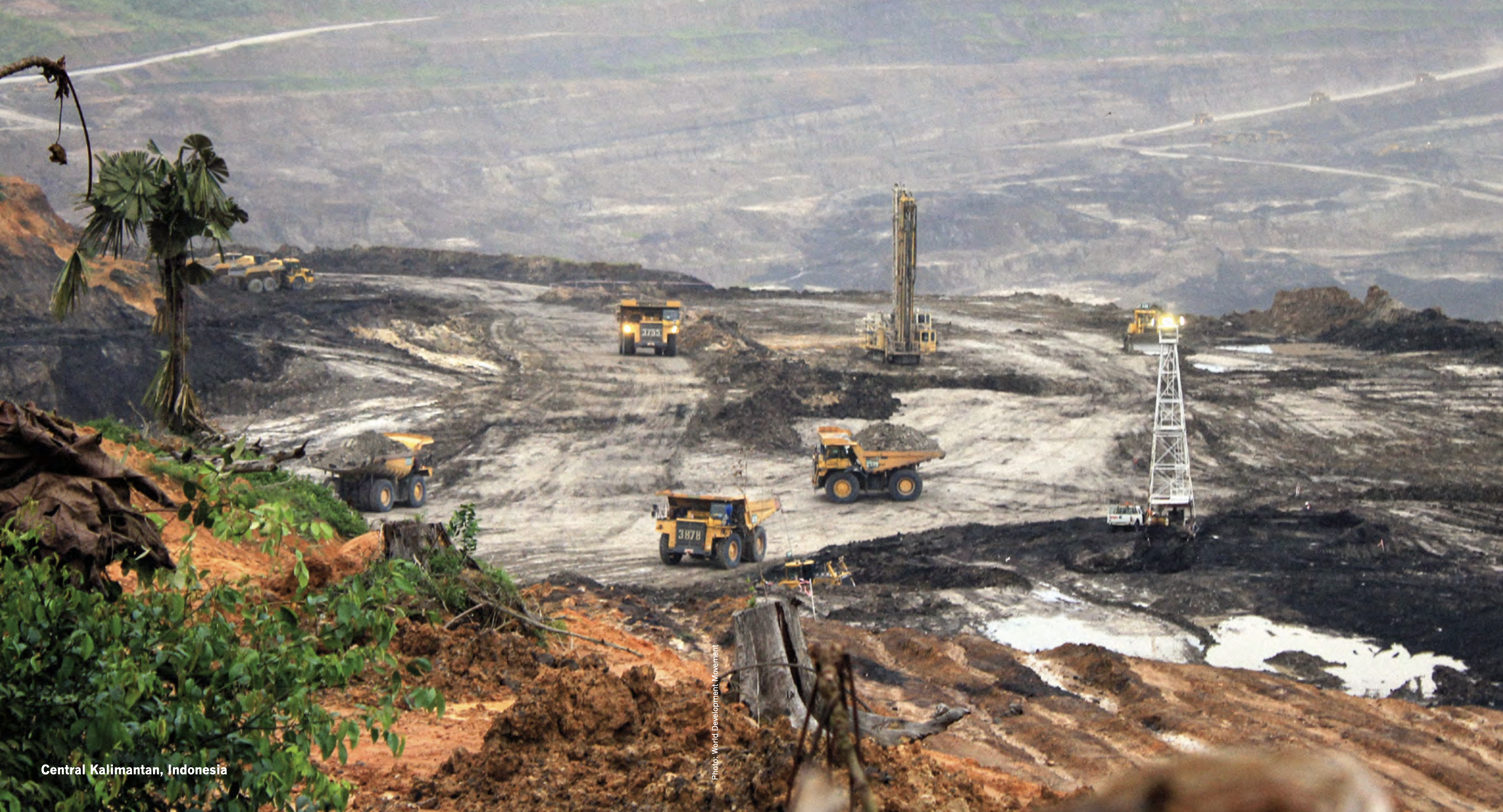 Industrial mining in Indonesia accounts for 45% of global tropical deforestation