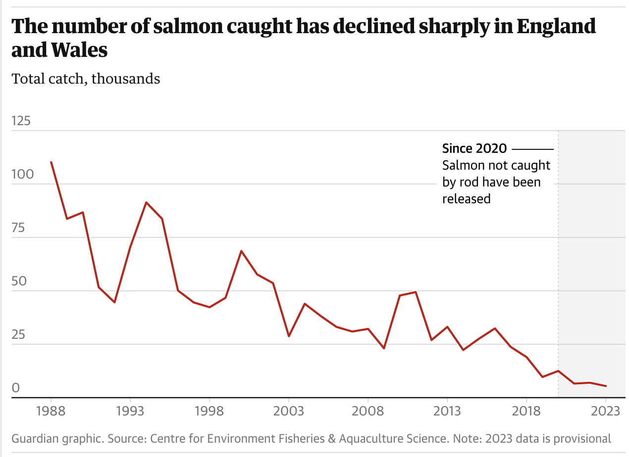 Salmon numbers in England and Wales last year were lowest on record