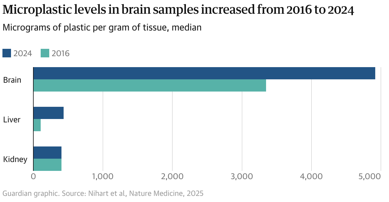 Levels of microplastics in human brains may be rapidly rising, study suggests